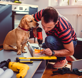 Dog sitting next to man building furniture