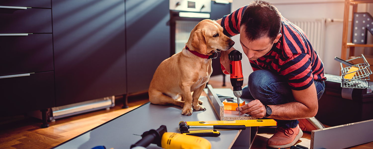 Dog sitting next to man building furniture